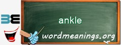 WordMeaning blackboard for ankle